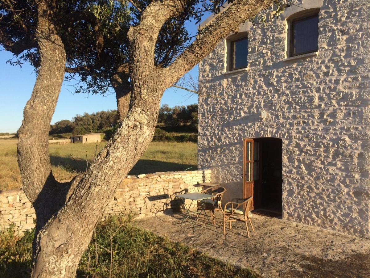 A Loghja Di Cavallo Morto Bonifacio  Exteriér fotografie