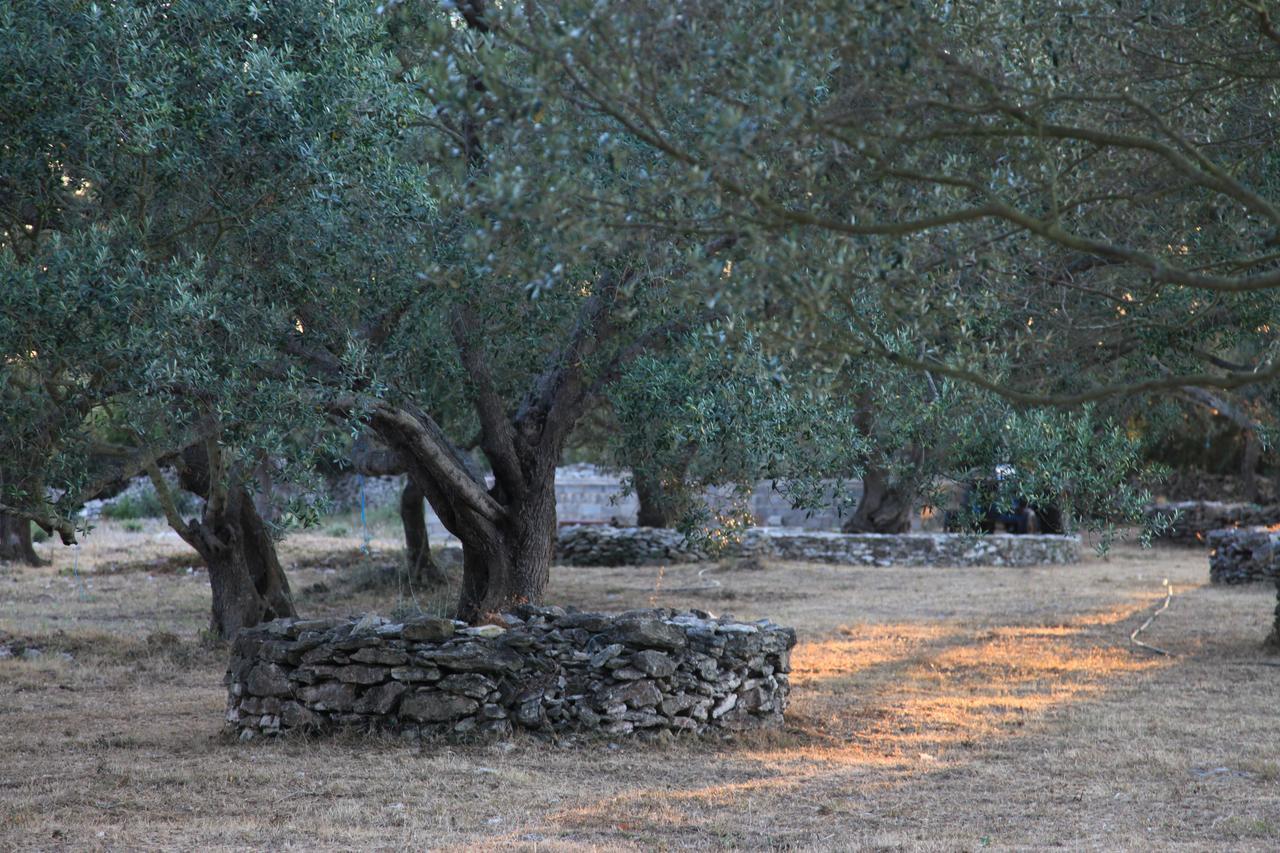 A Loghja Di Cavallo Morto Bonifacio  Exteriér fotografie