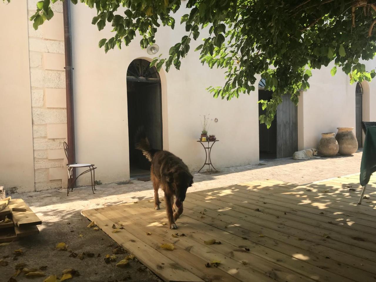 A Loghja Di Cavallo Morto Bonifacio  Exteriér fotografie